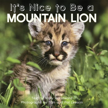 Board book It's Nice to Be a Mountain Lion Book