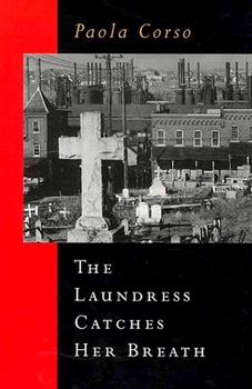 Paperback The Laundress Catches Her Breath Book