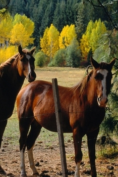2020 Weekly Planner Horse Photo Equine Horses Yellow Trees 134 Pages: 2020 Planners Calendars Organizers Datebooks Appointment Books Agendas