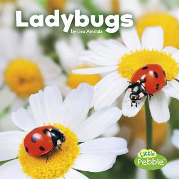 Ladybugs - Book  of the Little Critters