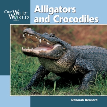 Hardcover Alligators and Crocodiles Book
