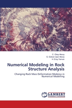 Paperback Numerical Modeling in Rock Structure Analysis Book