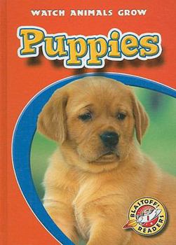 Library Binding Puppies Book