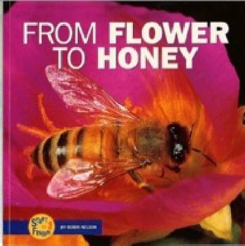 Paperback From Flower to Honey Book