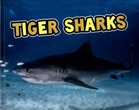 Tiger Sharks - Book  of the All About Sharks