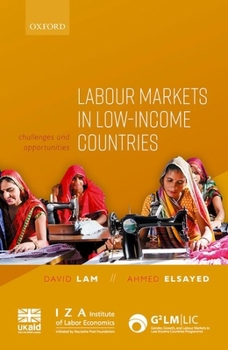 Hardcover Labour Markets in Low-Income Countries: Challenges and Opportunities Book
