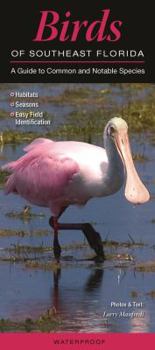 Vinyl Bound Birds of Southeast Florida: A Guide to Common & Notable Species Book