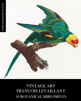 Vintage Art: Francois Levaillant 30 Botanical Bird Prints