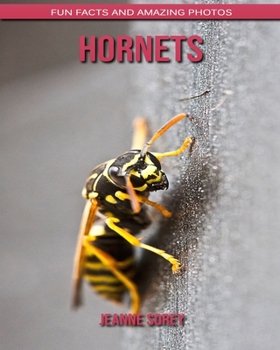 Hornets: Fun Facts and Amazing Photos