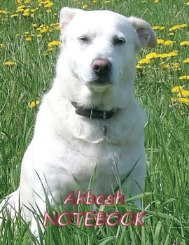 Paperback Akbash NOTEBOOK: Dog Notebooks and Journals 110 pages (8.5"x11") Book