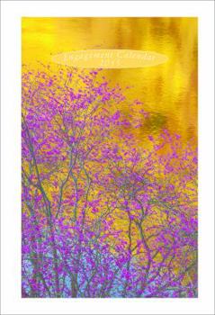 Calendar Sierra Club Engagement Calendar 2015 Book