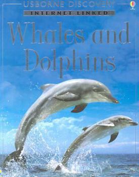 Paperback Whales and Dolphins: Internet Linked (Discovery Program) Book