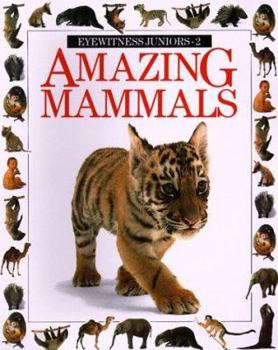 Amazing Mammals - Book #2 of the DK Eyewitness Juniors