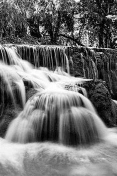 Youth Must Have its Fling Notebook