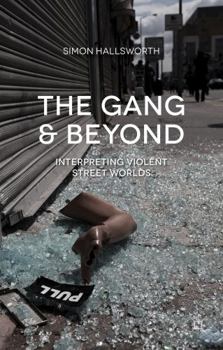 Hardcover The Gang and Beyond: Interpreting Violent Street Worlds Book