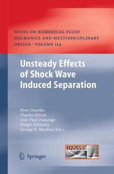 Paperback Unsteady Effects of Shock Wave Induced Separation Book