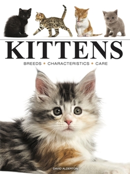 Paperback Kittens Book