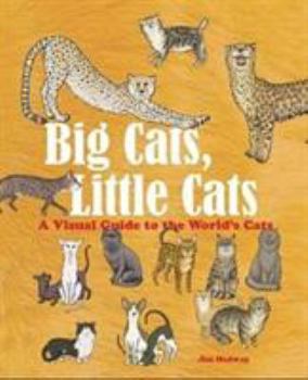 Hardcover BIG CATS, LITTLE CATS A VISUAL GUIDE TO THE WORLD S CATS /ANGLAIS (8 BOOKS) [French] Book