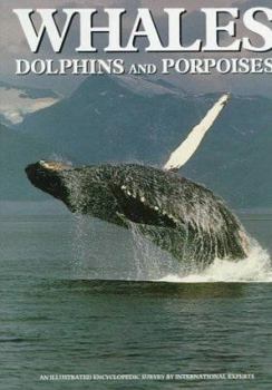 Hardcover Whales, Dolphins, and Porpoises Book