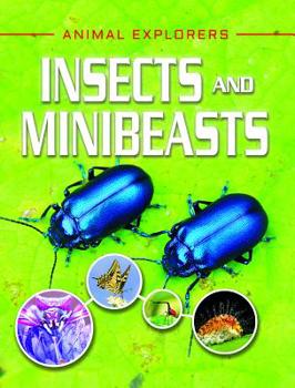 Paperback Insects and Minibeasts Book
