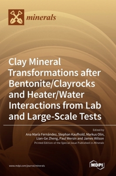 Hardcover Clay Mineral Transformations after Bentonite/Clayrocks and Heater/Water Interactions from Lab and Large-Scale Tests Book