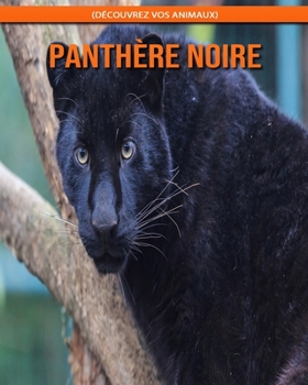 Panthère Noire (Découvrez Vos Animaux)