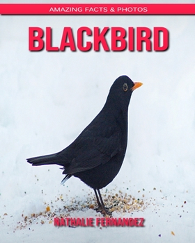 Blackbird: Amazing Facts & Photos