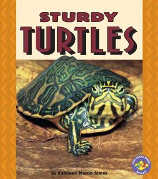 Paperback Sturdy Turtles Book