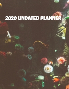 Paperback 2020 Undated Planner: : 2020 Undated Weekly Planner. Weekly & Monthly Planner, Organizer & Goal Tracker - Organized Chaos Planner 2020 Book