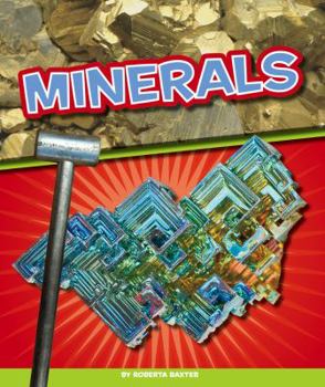 Library Binding Minerals Book