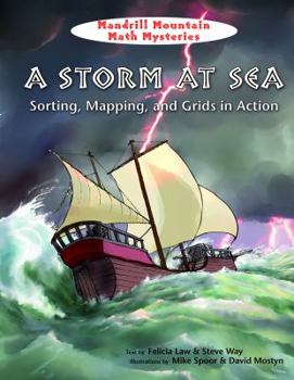 Library Binding A Storm at Sea Book
