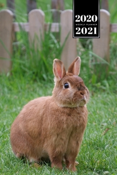Rabbit Bunny Hare Rodent Week Planner Weekly Organizer Calendar 2020 / 2021 - Sitting in Garden: Cute Wildlife Animal Pet Bullet Journal Notebook Diary in 6” x 9” Inch Pocket Size