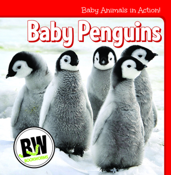 Paperback Baby Penguins Book