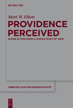 Hardcover Providence Perceived: Divine Action from a Human Point of View Book