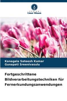 Fortgeschrittene Bildverarbeitungstechniken für Fernerkundungsanwendungen (German Edition)