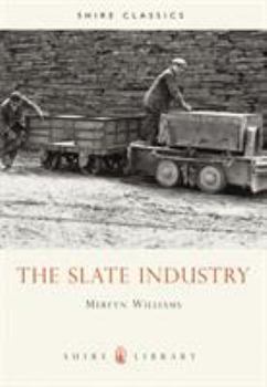 Paperback The Slate Industry Book