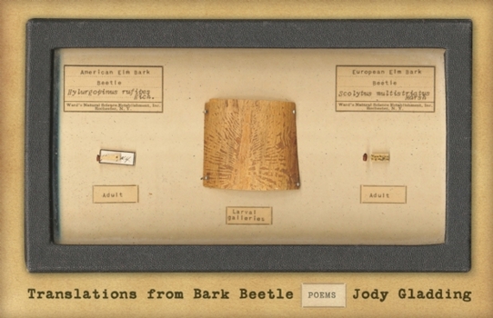 Paperback Translations from Bark Beetle: Poems Book