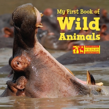 Board book My First Book of Wild Animals Book