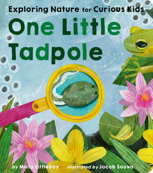 Board book One Little Tadpole: Exploring Nature for Curious Kids Book