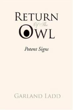 Paperback Return of the Owl Book