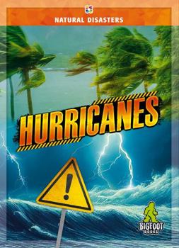 Library Binding Hurricanes Book
