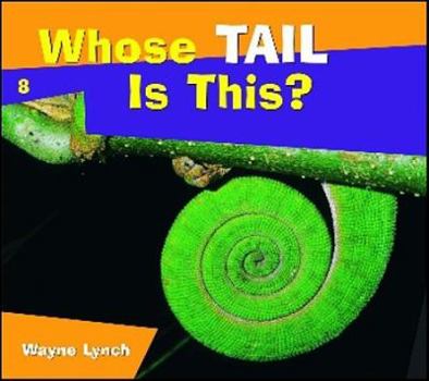 Paperback Whose Tail Is This? Book