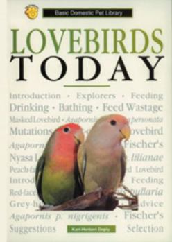 Hardcover Lovebirds Today (Basic Pet Lib) Book
