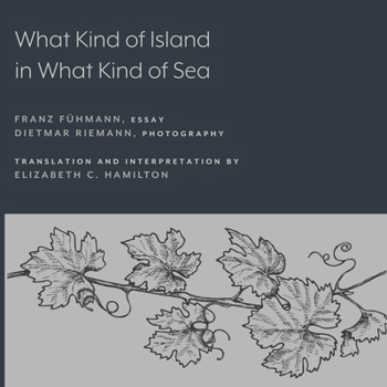 Paperback What Kind of Island in What Kind of Sea? Book