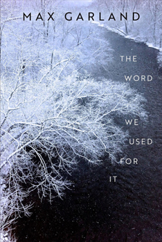 Paperback The Word We Used for It Book