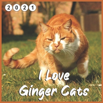 I Love Ginger Cats: 2021 wall & Office Calendar 16 Monthe