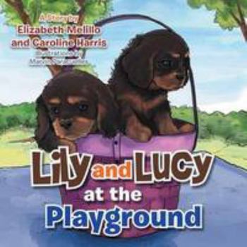 Paperback Lily and Lucy at the Playground Book