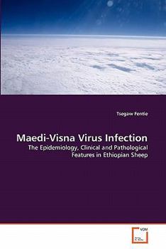 Paperback Maedi-Visna Virus Infection Book