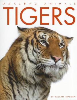 Tigers - Book  of the Amazing Animals