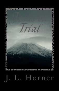 Paperback Jesus on Trial: You are the sole juror You have to decide Book
